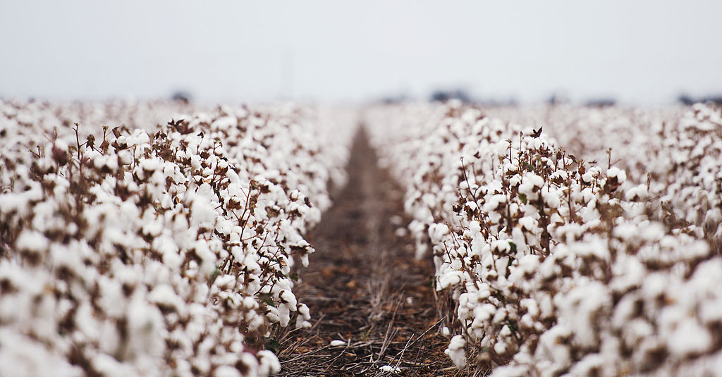 HAKRO IST NEUER PARTNER VON COTTON MADE IN AFRICA